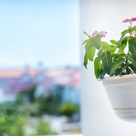 Penthouse Sv. Ivan *